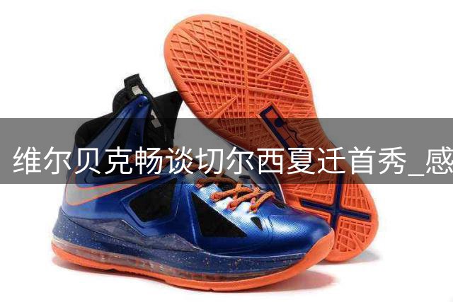 维尔贝克畅谈切尔西夏迁首秀 感怀布莱顿执教生涯
